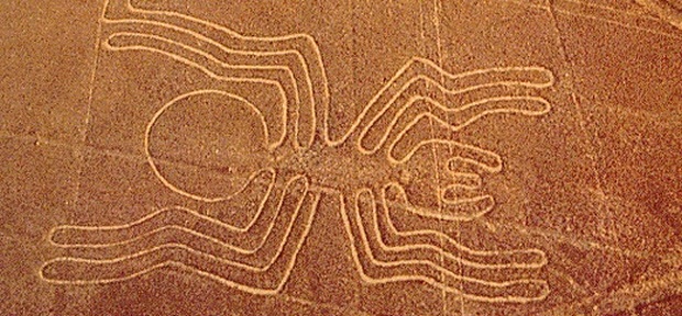 nazca-lines-spider.jpg