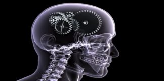 Mysteries of the Human Brain Still Continue to Baffle