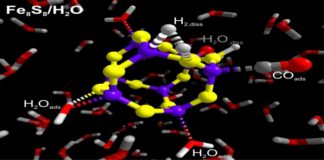 Iron Sulphur World Theory on Evolution