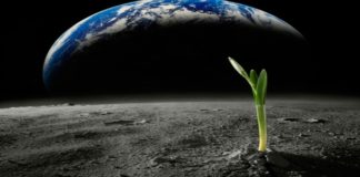 Life in Space – An Astrobiological Approach