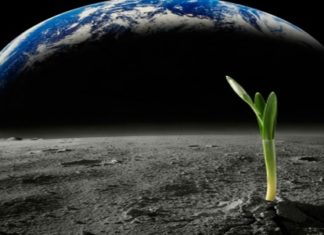 Life in Space – An Astrobiological Approach