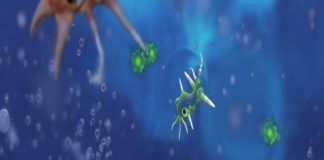 Primordial Soup Still Lingers in Uncertainty