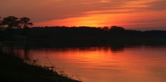 Shringverpur Pond – An Ancient Water Management Marvel