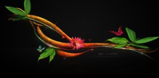 Where Did Life Evolve?