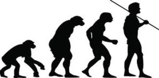 Is There Sufficient Evidence of our Ancestors?