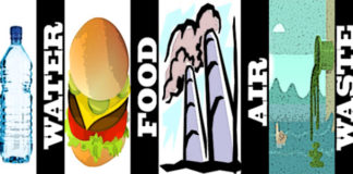 Money Matters and Global Crisis