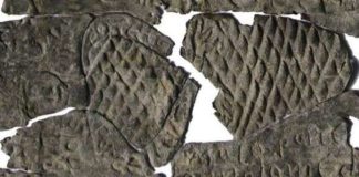 Ancient Texts And Human Evolution