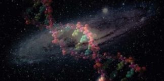Is There DNA in Space?