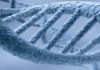 Frozen DNA May be the Next Noah’s Ark