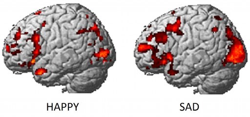 emotive-brain