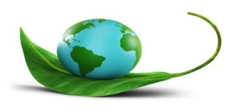 Destruction of Nature Means the Destruction of Humanity