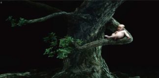 A Dialogue With Nature