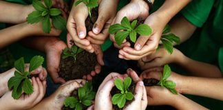 A Dialogue With Nature : Part II