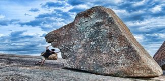 Cultivating Magnificent Power and Capability Through Effort cultivating-power-capability-through-effort