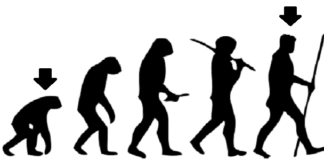 Separating Human From Animals separating-human-from-animals