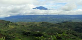 Rwenzori – Mountains of the Moon