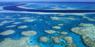 The Great Barrier Reef – A Fascinating Underwater Kingdom