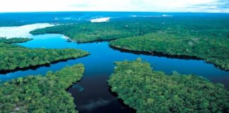 Amazon River – Roadway in the Rain Forest