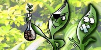 Are Biological Patents a Life Saver or a Menace?