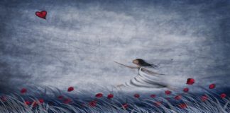 Follow Your Heart And Continue Dreaming