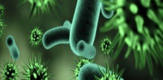 Bacteria, Germs And Viruses That Save Lives