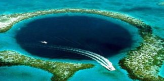 Blue Holes – Lairs of the Lusca