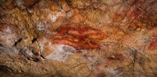 Earliest Human Cave Art Identified