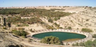 Nefta Oasis – Garden in the Desert