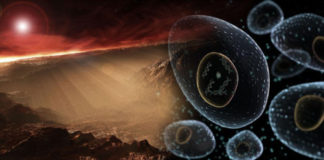 Whether Life Was Transported To Earth From Another Planet?