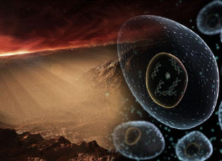 Whether Life Was Transported To Earth From Another Planet?