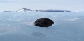 Supernova Dust Detected in Antarctic Meteorites