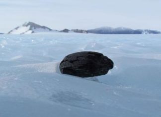 Supernova Dust Detected in Antarctic Meteorites