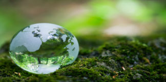 The Final Hour of the Earth Day and the Earth Anthem