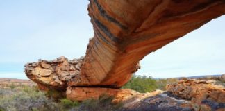 The Origin and History of Engineering