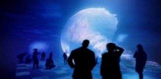 What is the Role of Life in the Universe?