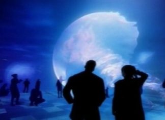 What is the Role of Life in the Universe?