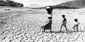 Iraq Crisis – Is Scarcity of Water to Blame?