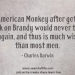 An-American-Monkey-after