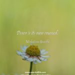 Peace-is-its-own-reward