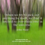 When-we-try-to-pick-out