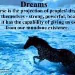 a-horse-is-the-projection