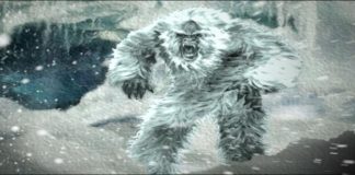 Close Encounters of the Abominable Snowman Yeti