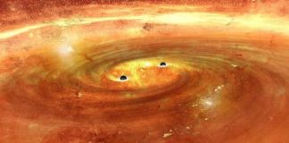 What Will Happen When Black Holes Collide?