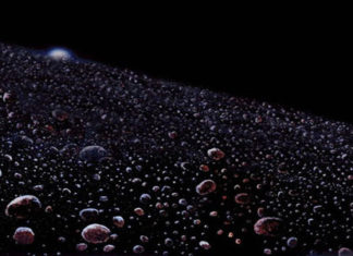 The Vast and Unexplored Kuiper Belt – Looking Beyond the Solar System