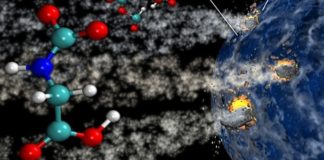 Is Life on Earth a Result of Comets?