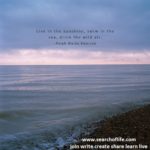 live-in-the-sunshine