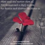 plant-seeds-and-nurture-them-all