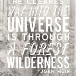 the-clearest-way-into-the-universe