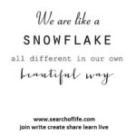 we-are-like-a-snowflake