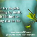 when-we-try-to-pick